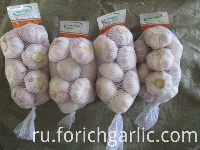 Fresh Normal White Garlic Size 5 0